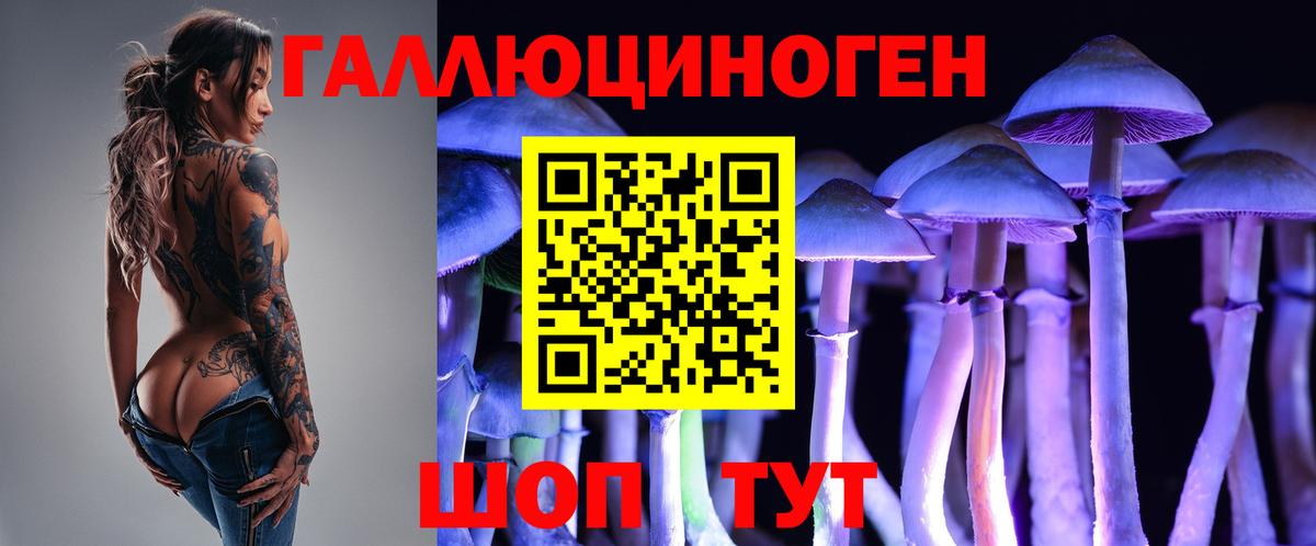 Отрадное  Псилоцибиновые грибы мухоморы  Вход с VPN 
